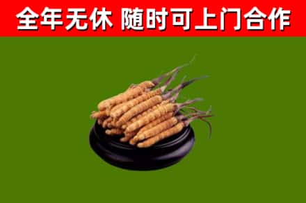 永胜县烟酒回收冬虫夏草.jpg